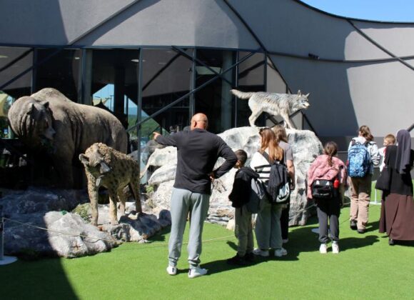 Izlet u Baraćeve špilje i Speleon Izlet u Baraćeve špilje i Speleon